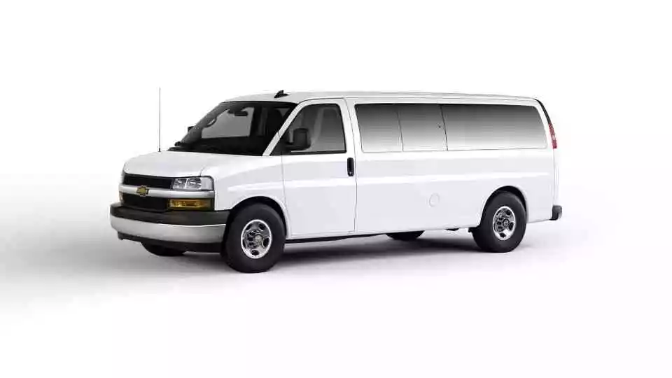 15 PASSENGER LOW ROOF VANS